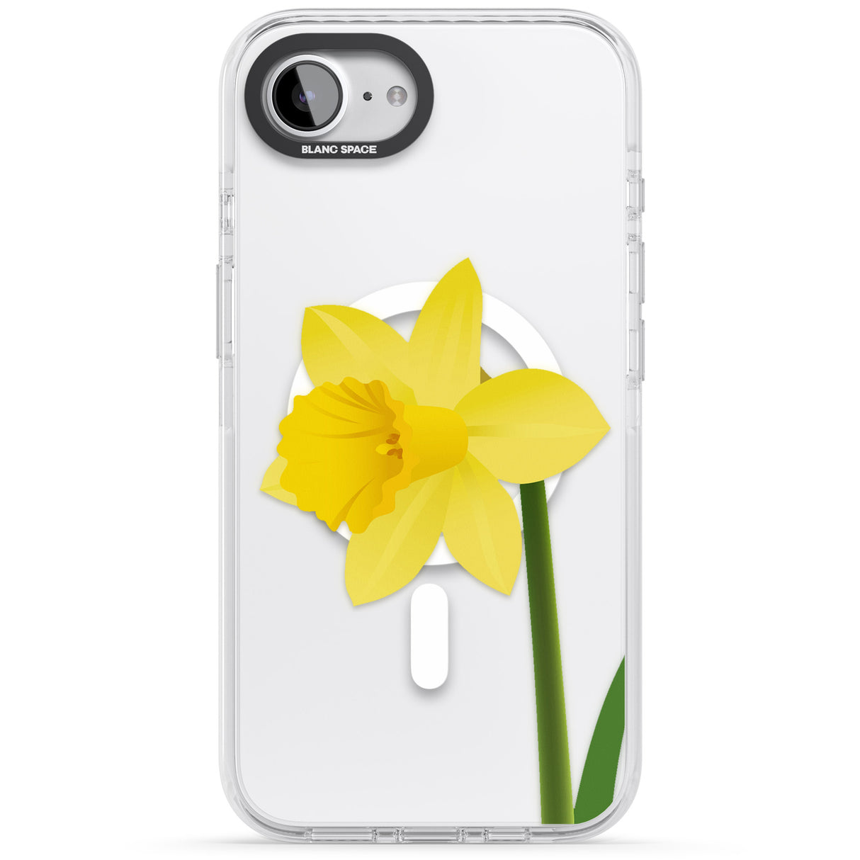 Daffodil