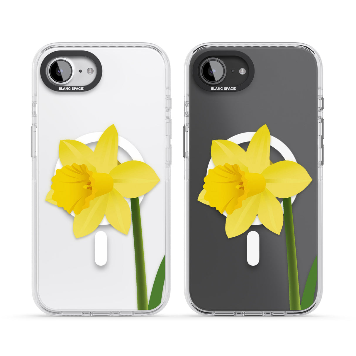 Daffodil