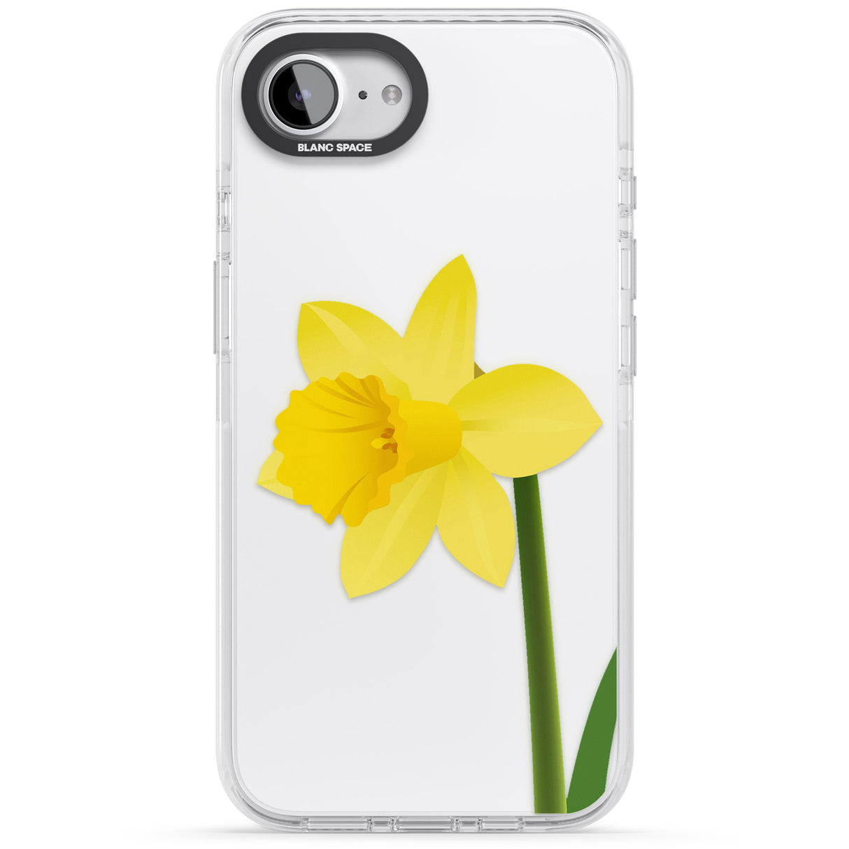 Daffodil