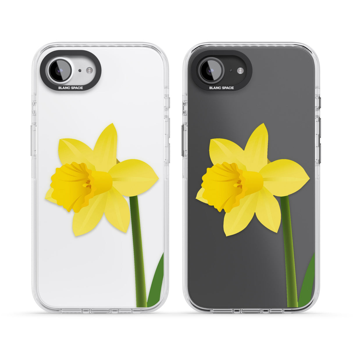 Daffodil