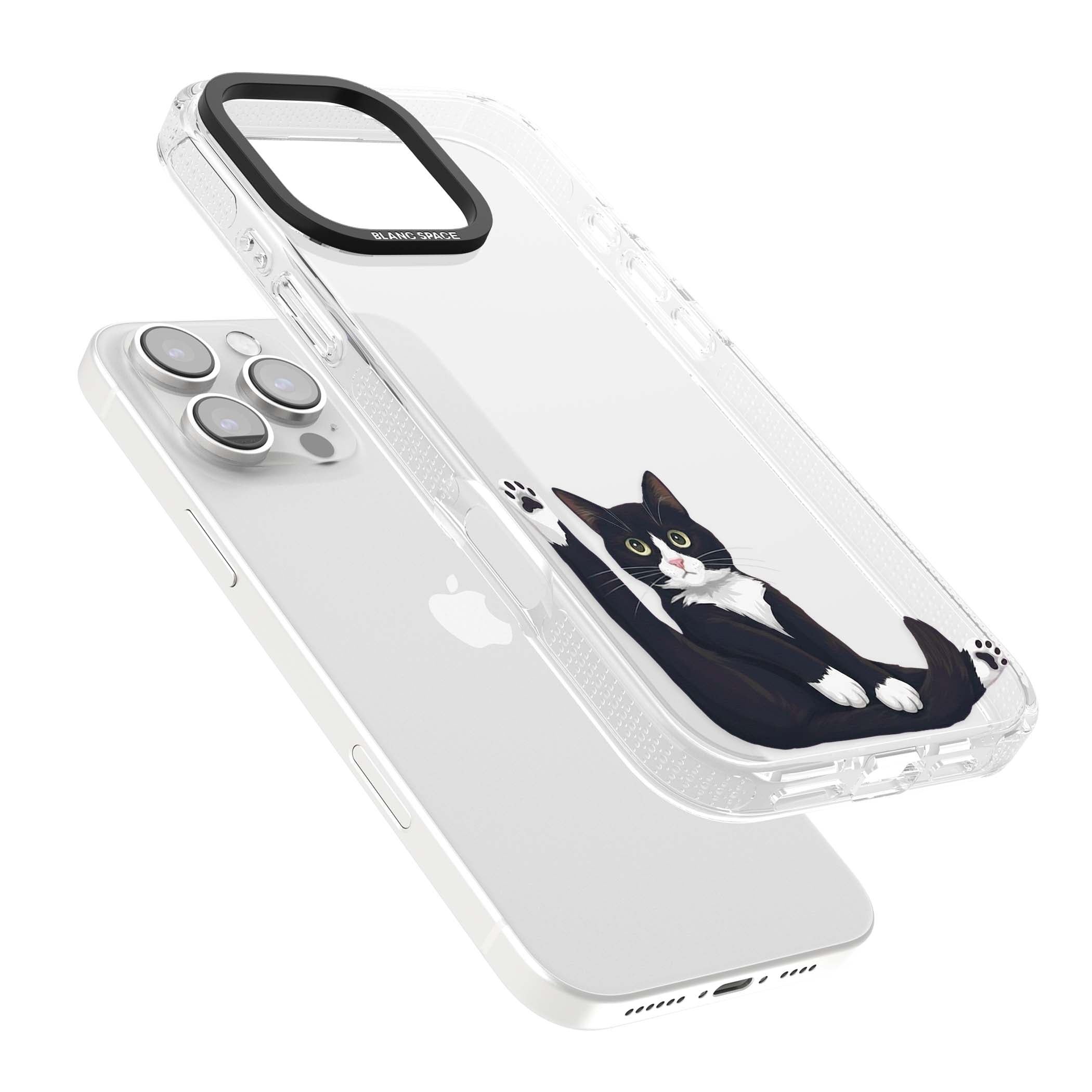 Mid-Groom Cat animals iPhone case | Clear Case Impact Air case for iPhone 16 Pro, iPhone 16 Pro Max