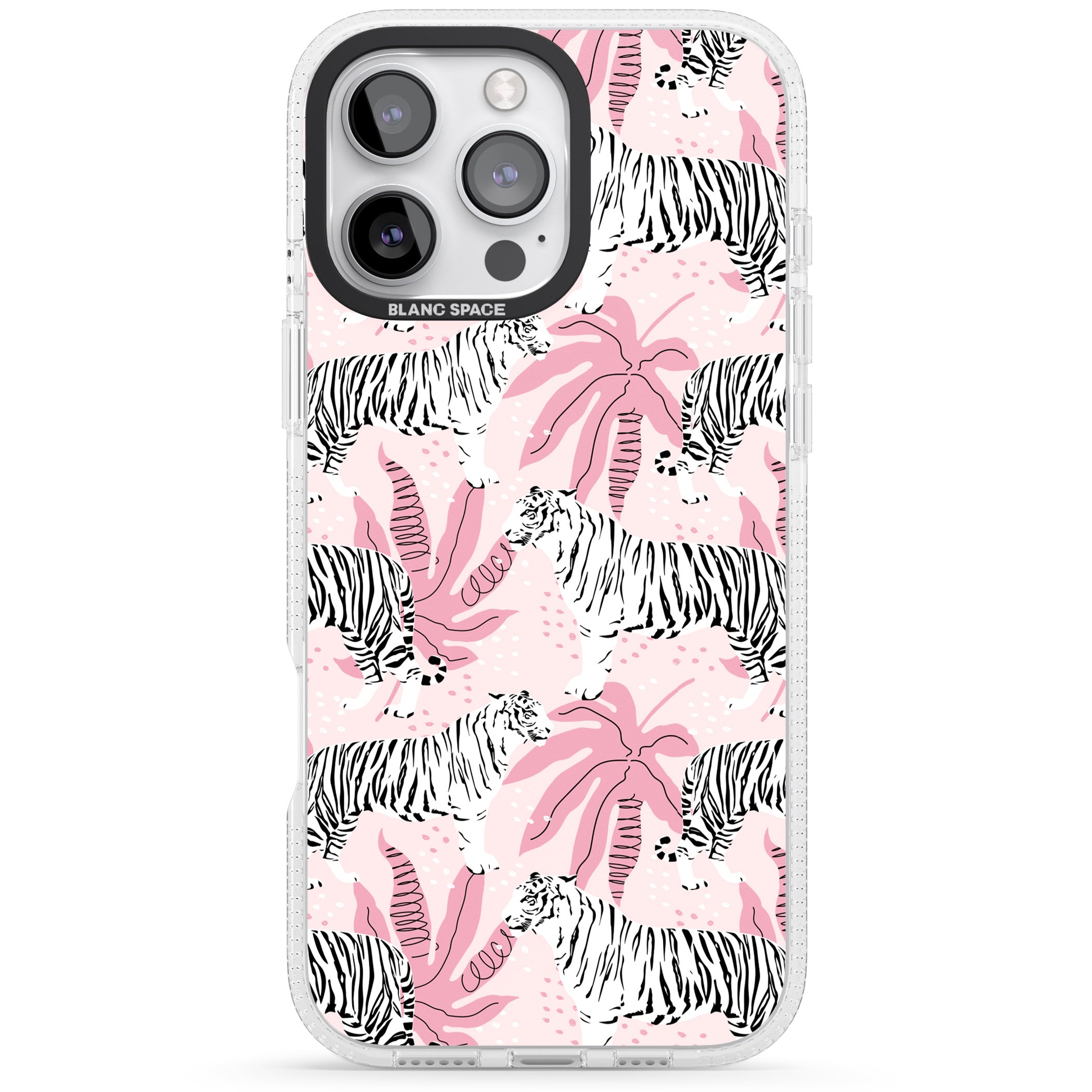 Pink Tiger Palm