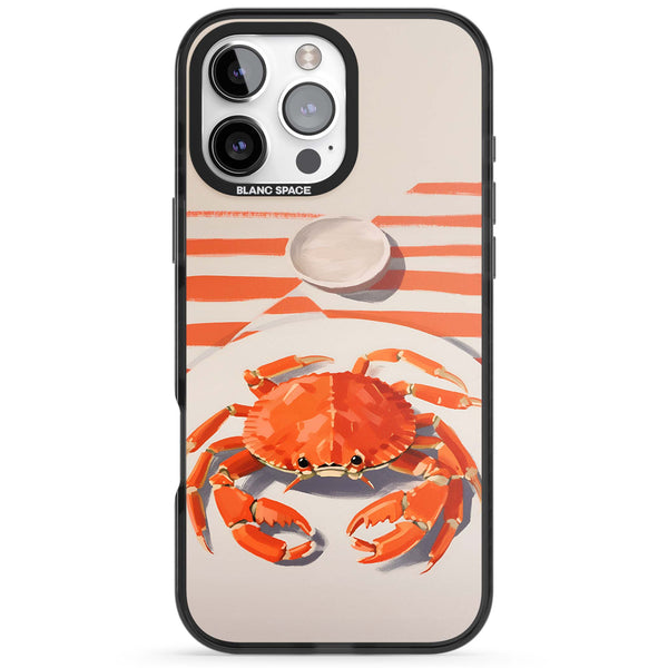 Beach Crab