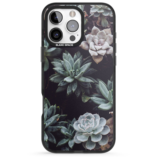 iPhone 16 Pro Max Mixed Succulents - Real Botanical Photographs Black Impact Phone Case