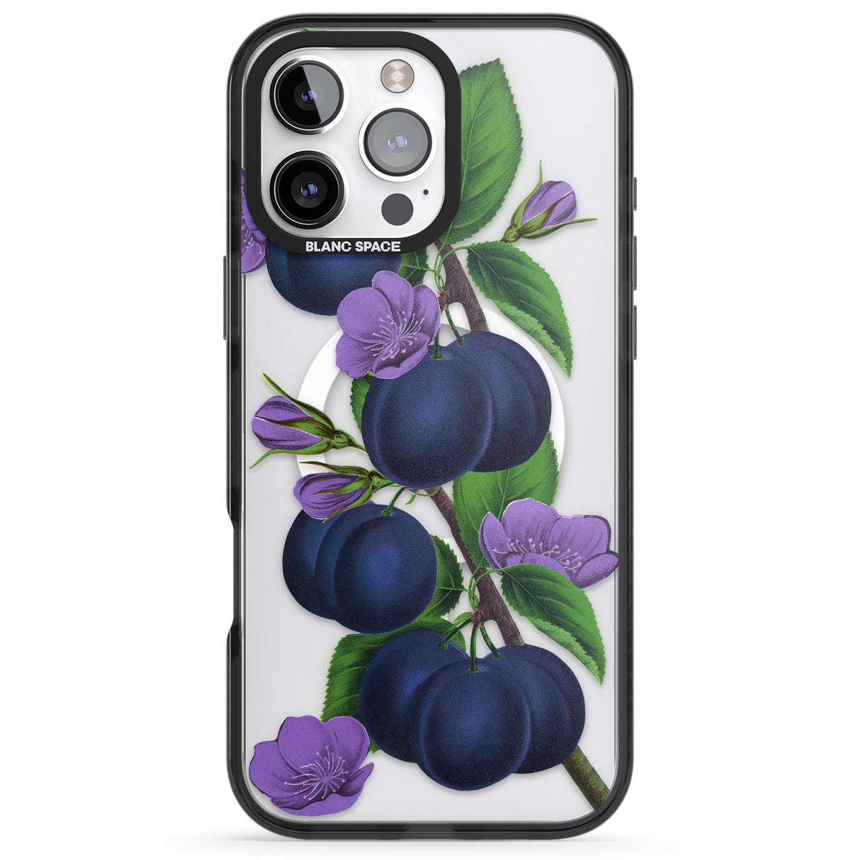 iPhone 16 Pro Max Vintage Painted Plums Black Impact Phone Case + Magsafe