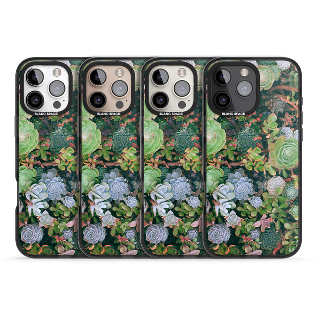 iPhone 16 Pro Max Colourful Succulents Photograph Black Impact Phone Case