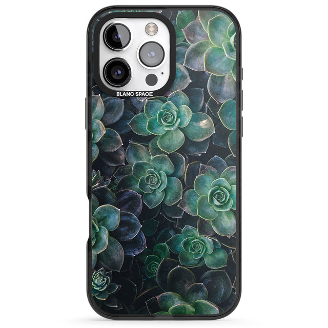 iPhone 16 Pro Max Succulents - Real Botanical Photographs Black Impact Phone Case