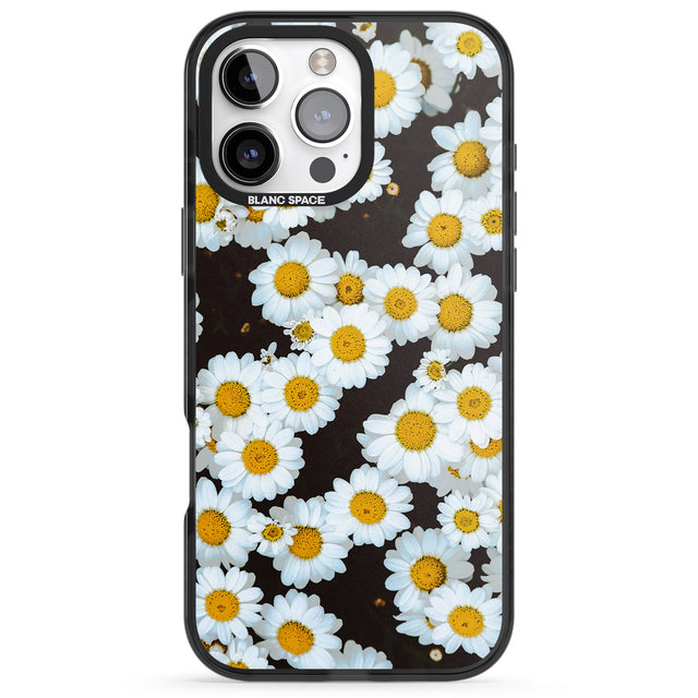 iPhone 16 Pro Max Daisies - Real Floral Photographs Black Impact Phone Case