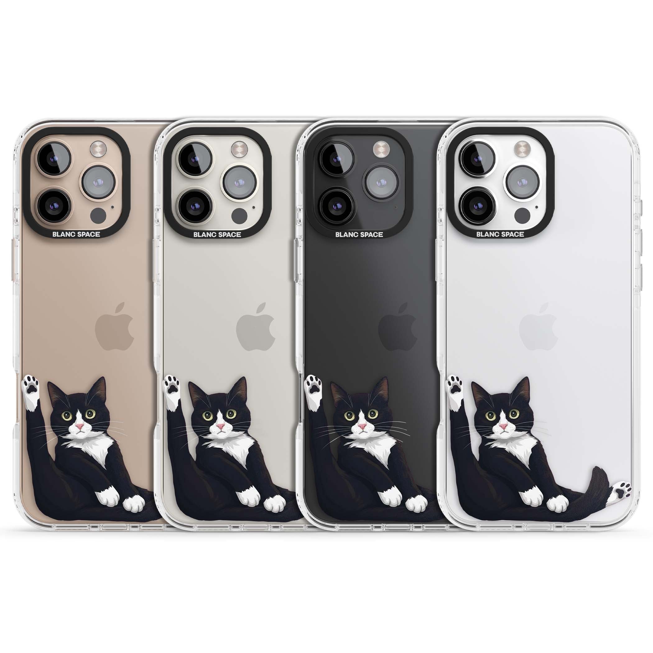 Mid-Groom Cat animals iPhone case | Clear Impact case for iPhone 16 Pro, iPhone 16 Pro Max