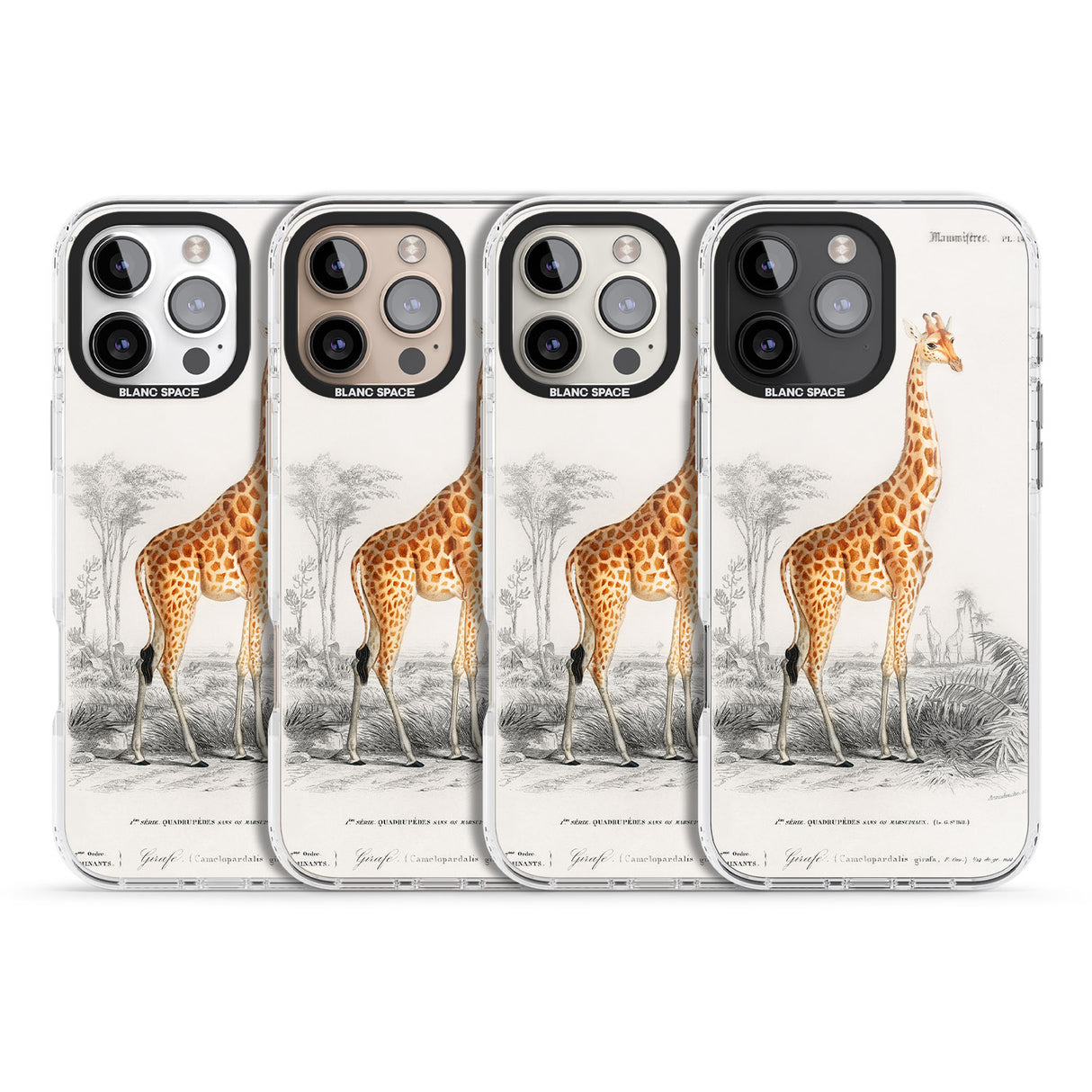 iPhone 16 Pro Max Vintage Girafe Art Black Impact Phone Case