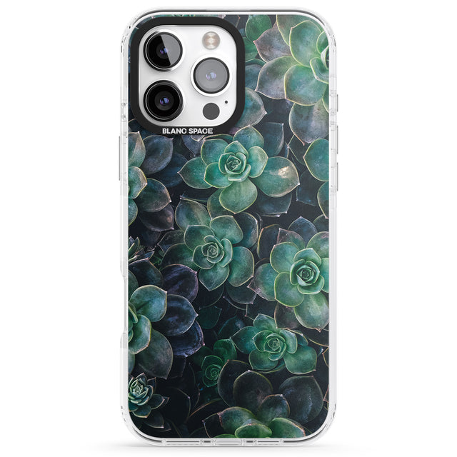 iPhone 16 Pro Max Succulents - Real Botanical Photographs Black Impact Phone Case