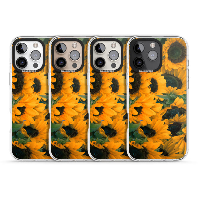 iPhone 16 Pro Max Sunflowers Black Impact Phone Case