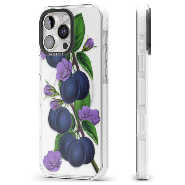 iPhone 16 Pro Max Vintage Painted Plums Black Impact Phone Case + Magsafe