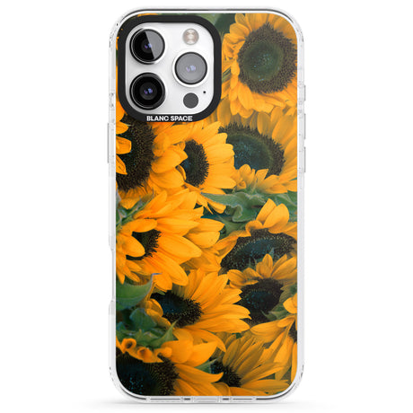 iPhone 16 Pro Max Sunflowers Black Impact Phone Case