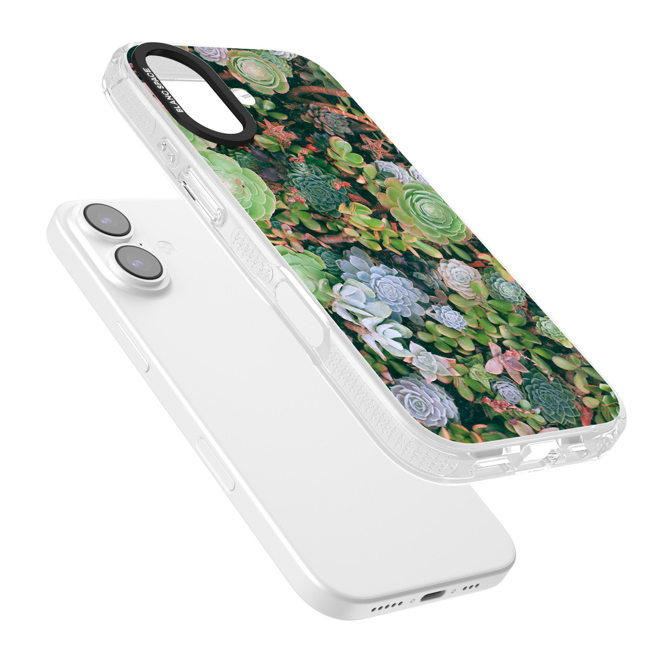 Succulent Garden iPhone 17 Impact Air Clear Phone Case Colours