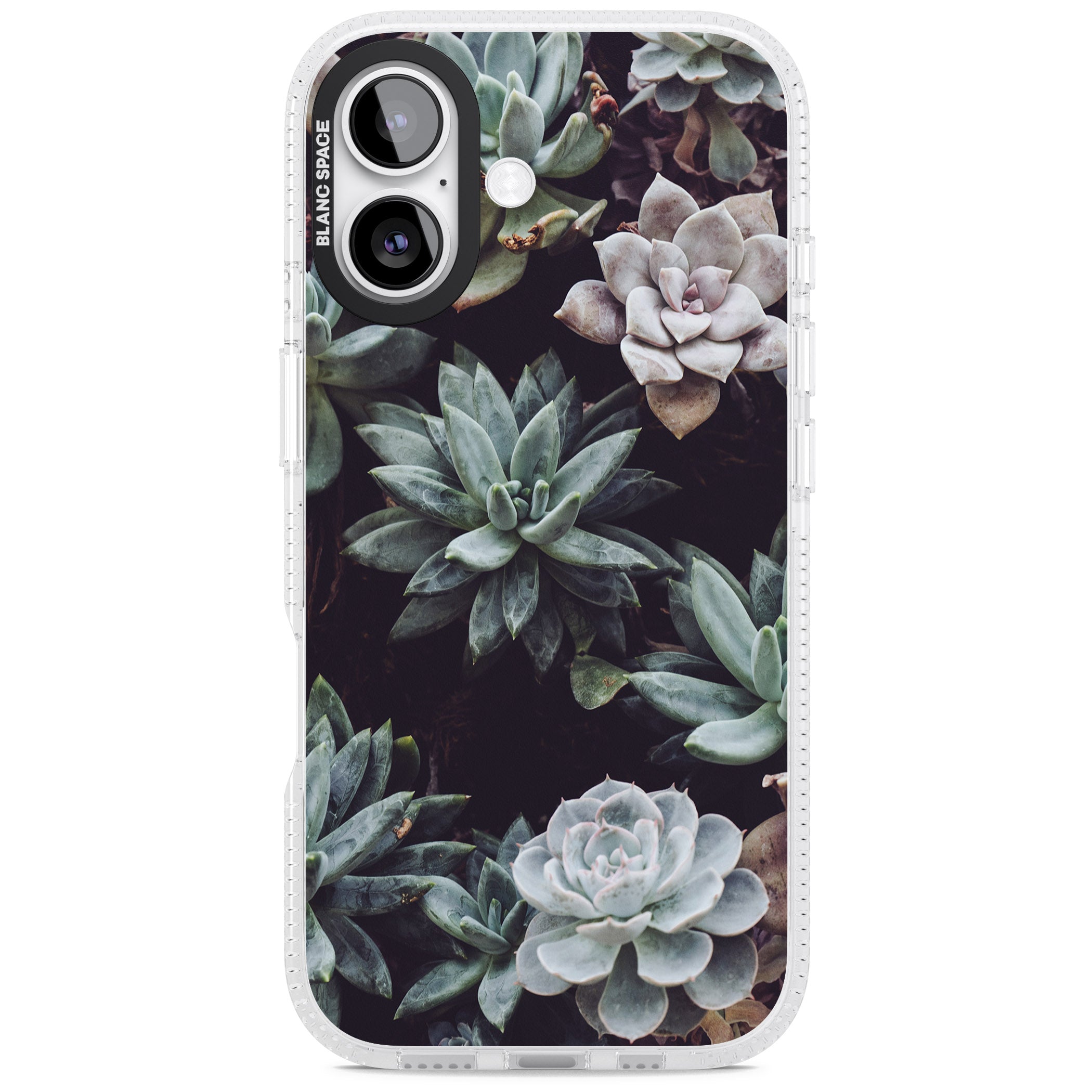 Succulent Bloom Mixed iPhone 17 Impact Air Clear Phone Case