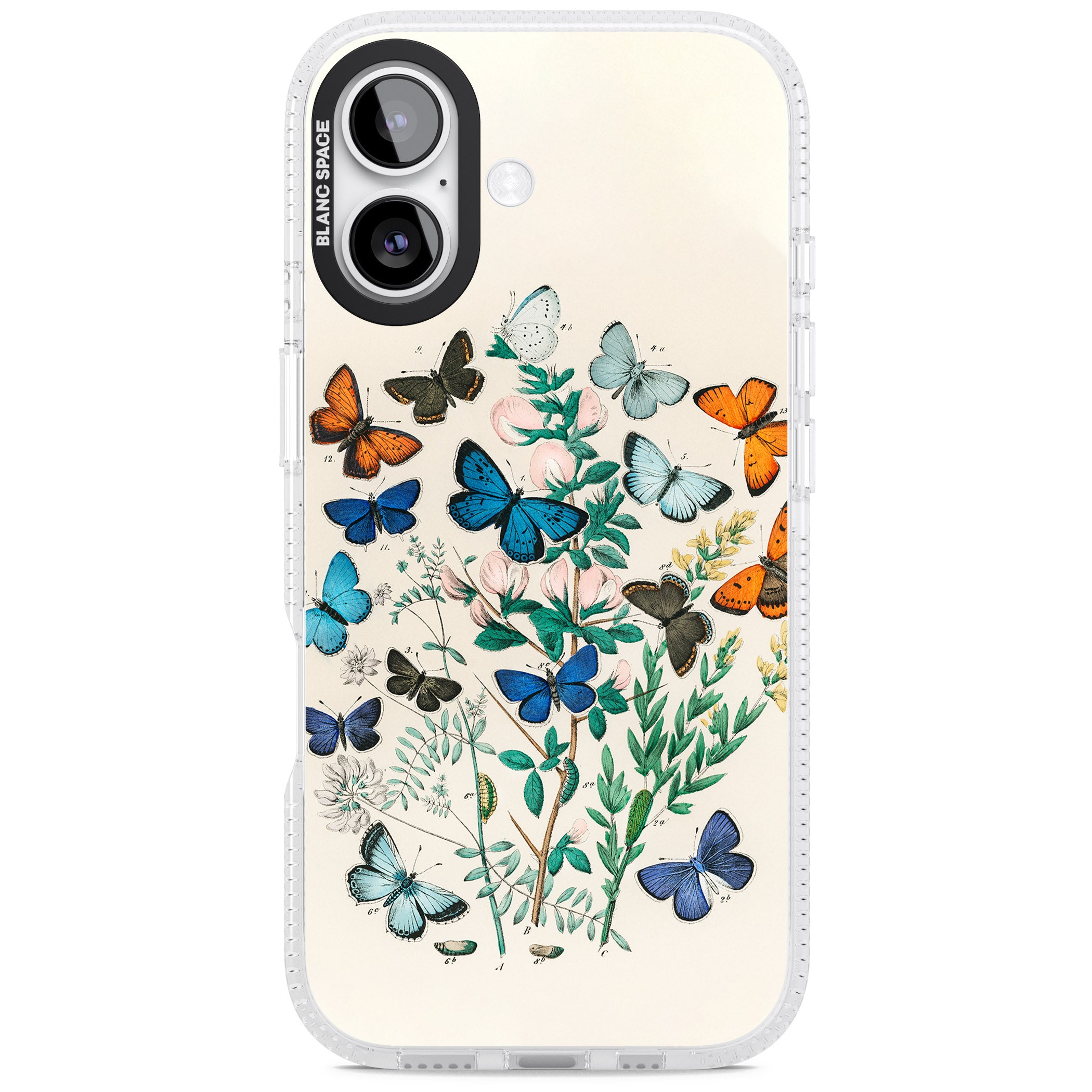 European Butterflies iPhone 17 Impact Air Clear Phone Case