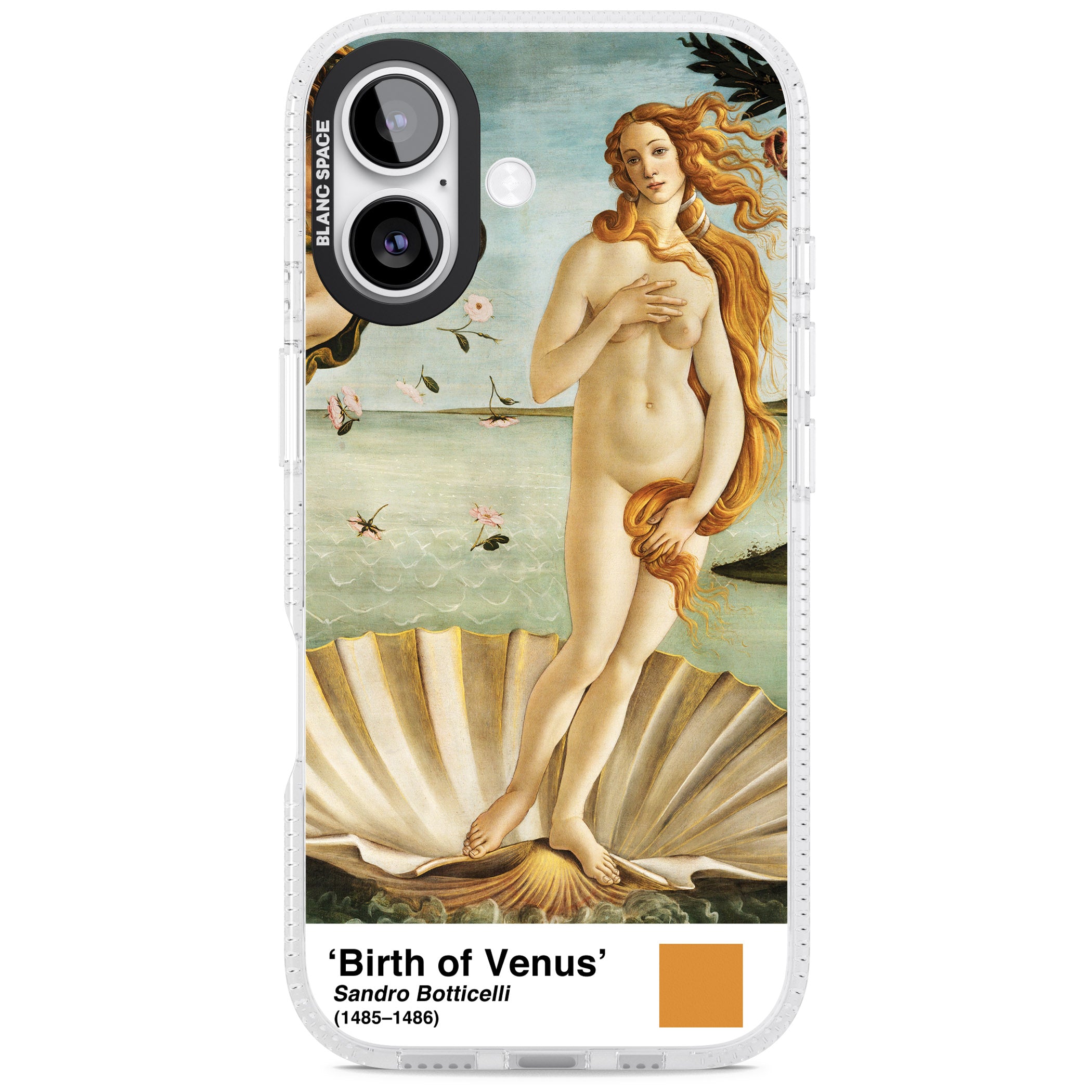The Birth Of Venus iPhone 17 Impact Air Clear Phone Case