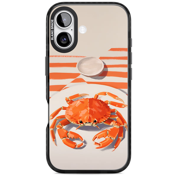 Beach Crab