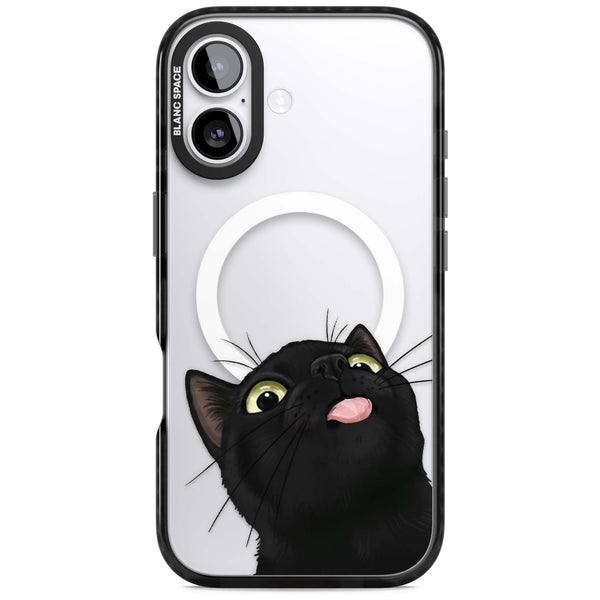 Black Cat Energy