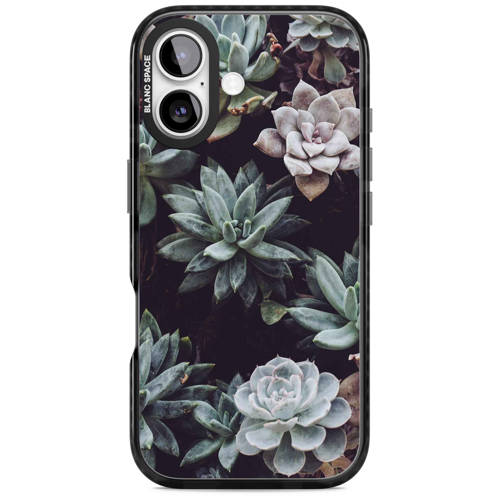 Succulent Bloom Mixed iPhone 17 Impact Pro Black Phone Case