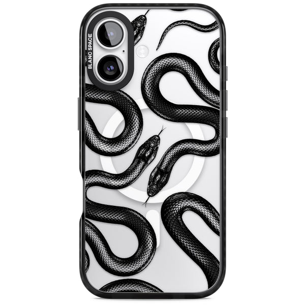Black Kingsnake
