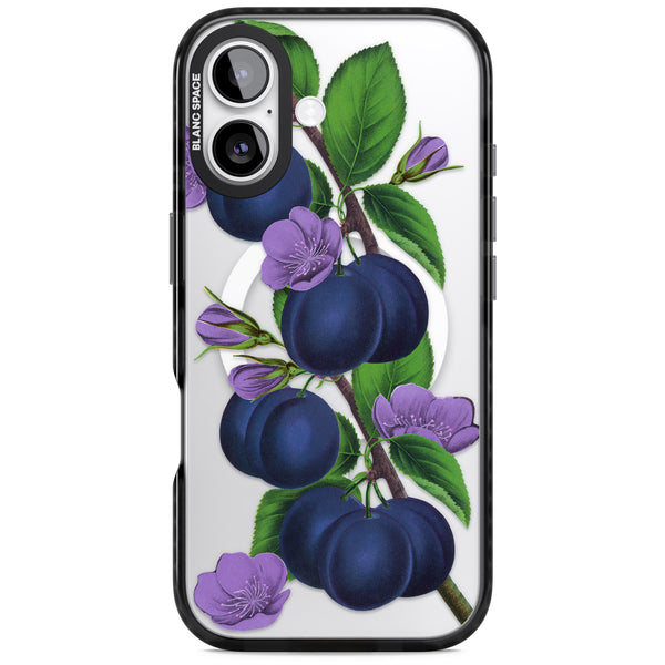 Vintage Painted Plums