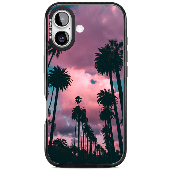 Sunset Palms