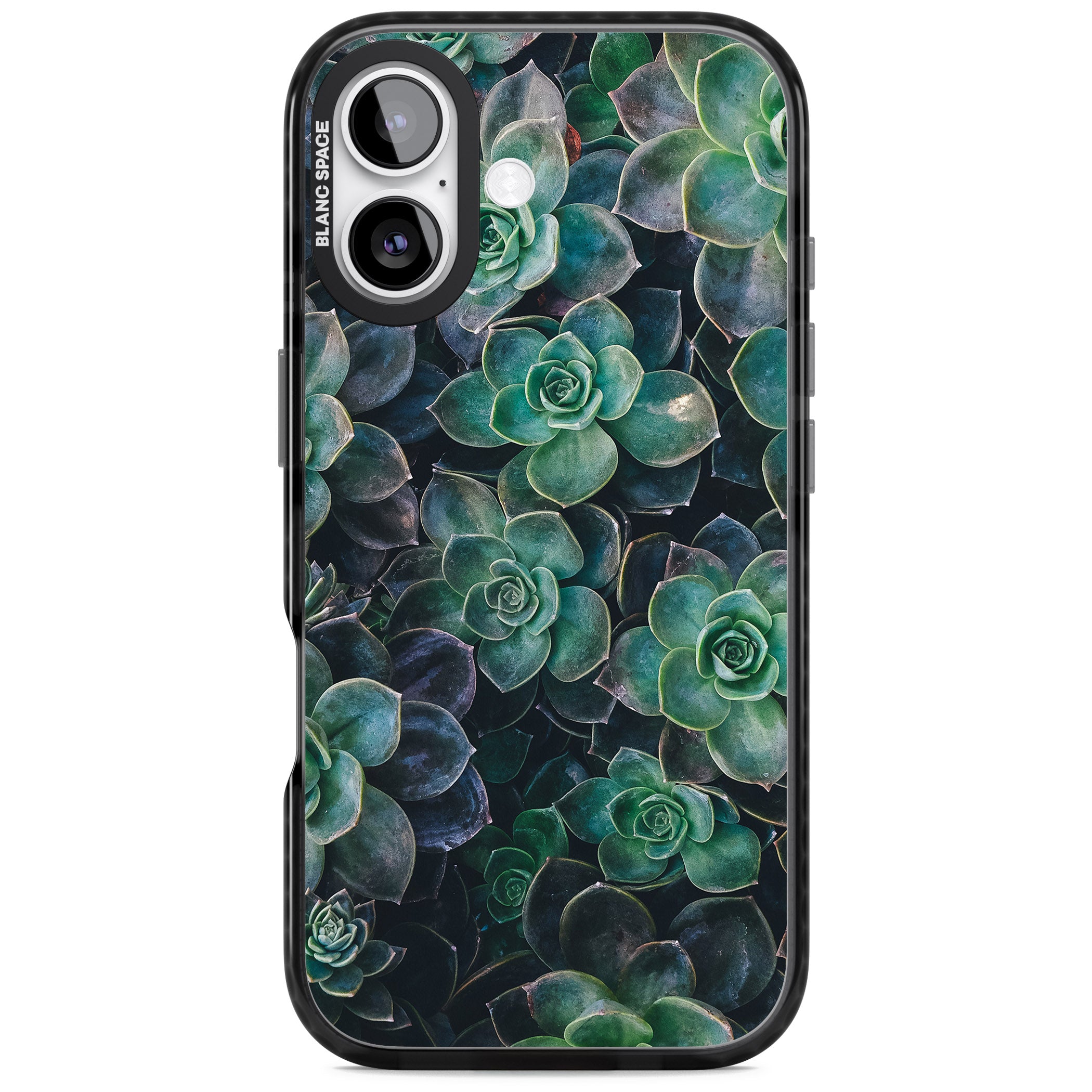 Succulent Bloom Botanical iPhone 17 Impact Black Phone Case