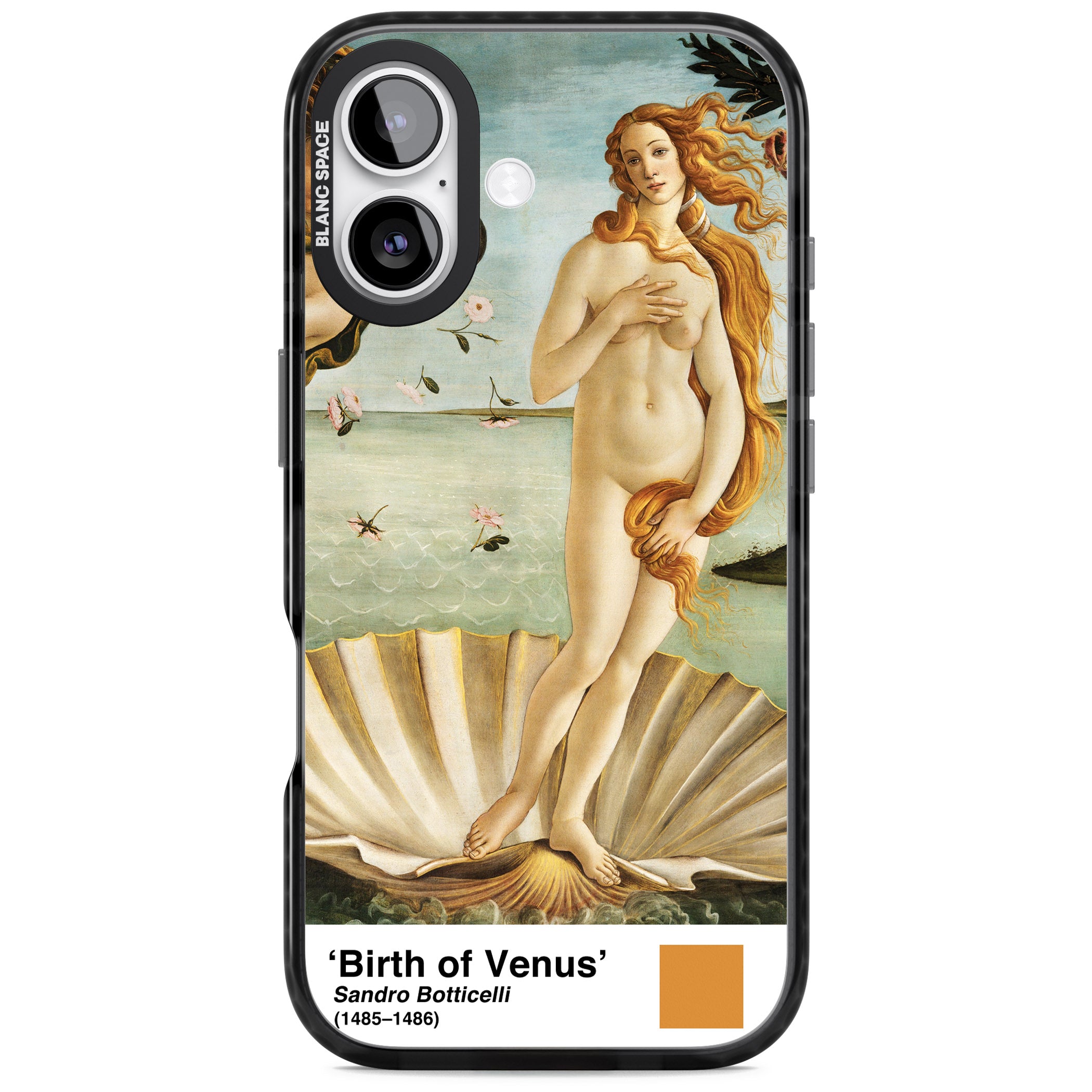 The Birth Of Venus iPhone 17 Impact Black Phone Case