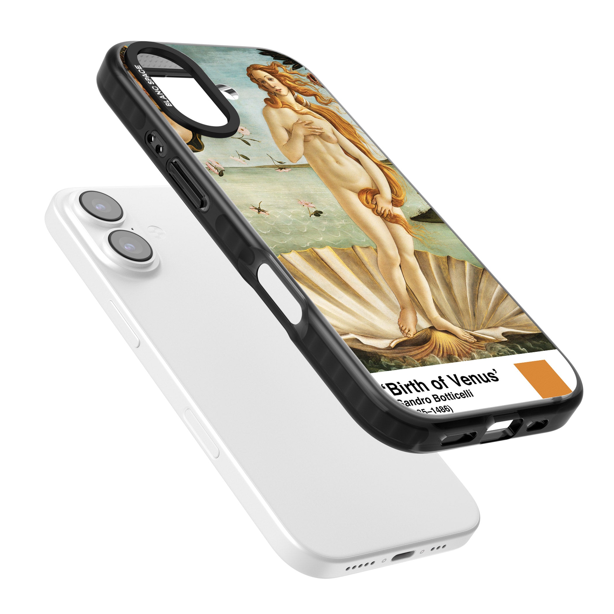 The Birth Of Venus iPhone 17 Impact Black Phone Case Colours