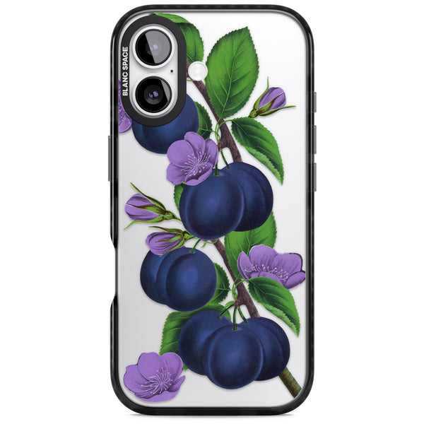 Vintage Painted Plums