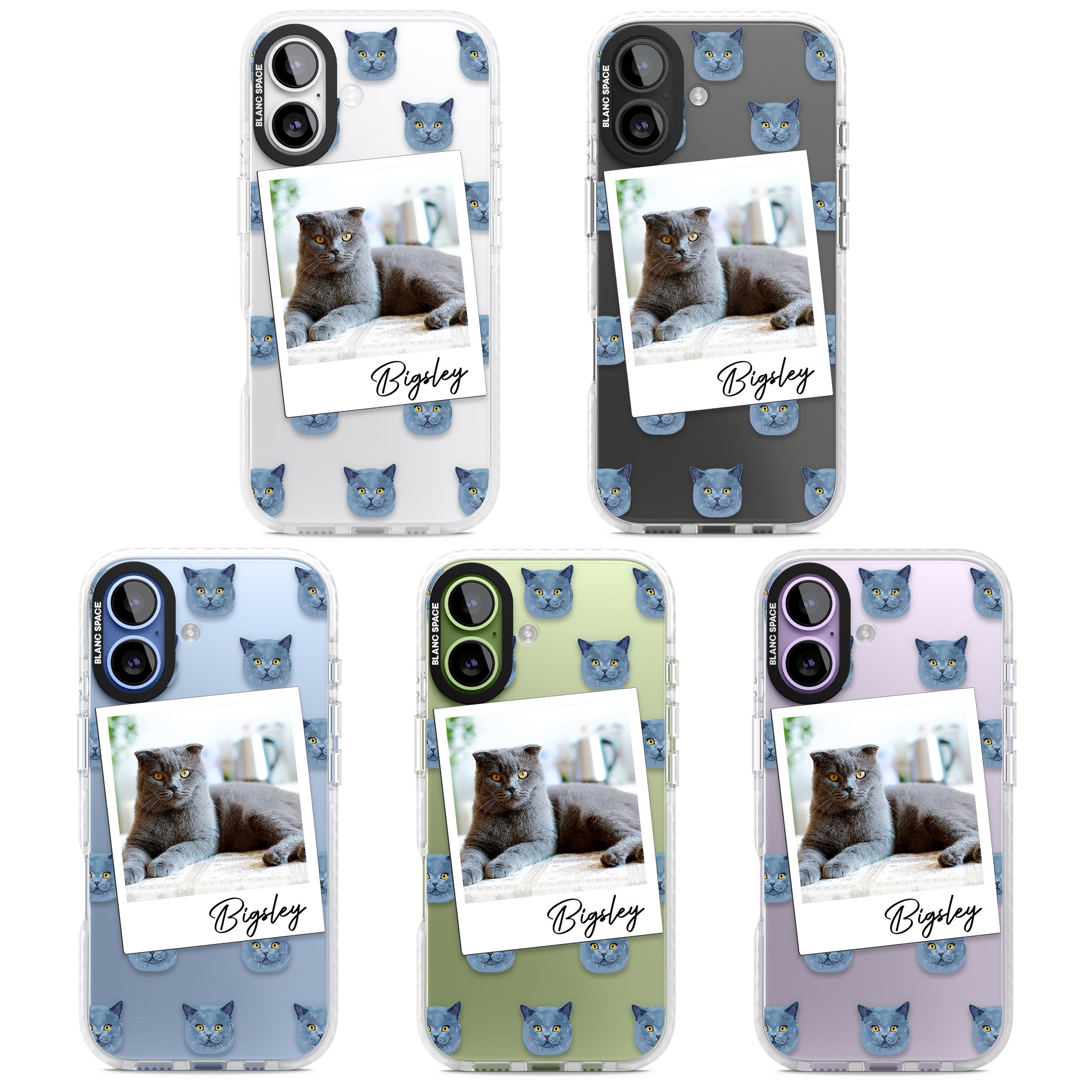 Personalised English Blue Cat Photo iPhone 17 Impact Clear Phone Case APT Impact Protection