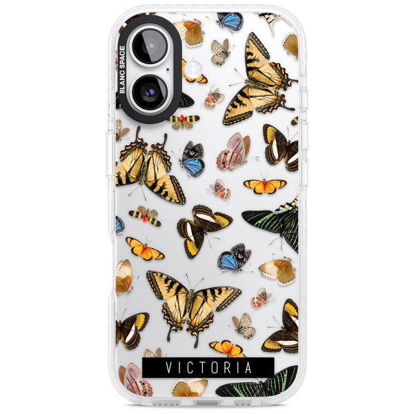 Personalised Butterfly Archive
