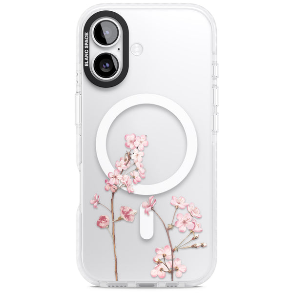 Blossom Flower