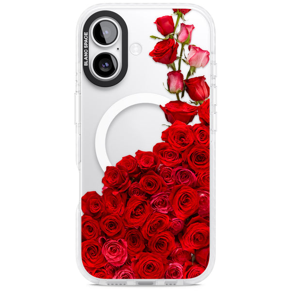 Rose Avalanche