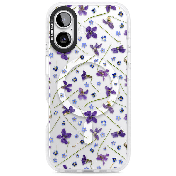Pressed Violets