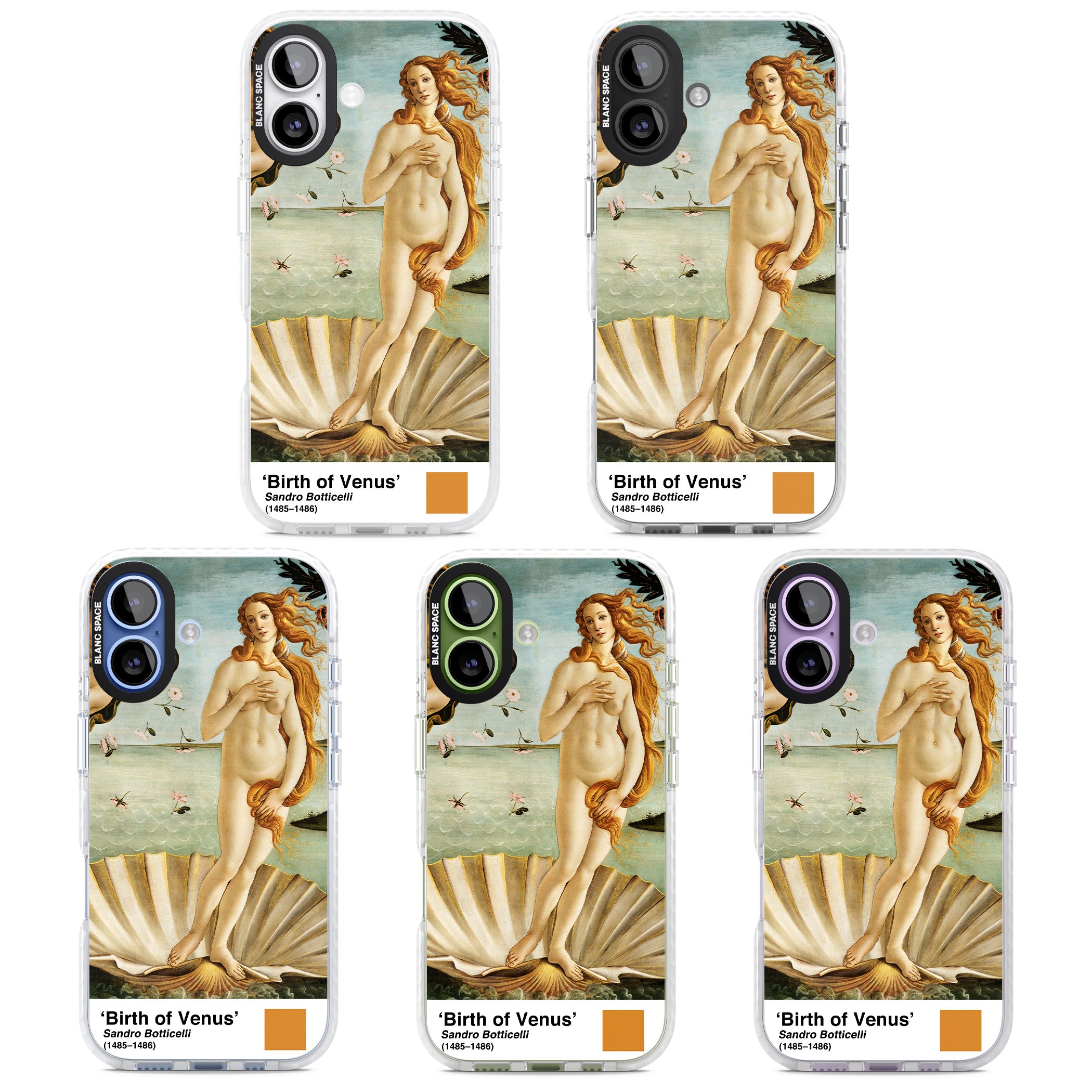 The Birth Of Venus iPhone 17 Impact Clear Phone Case APT Impact Protection