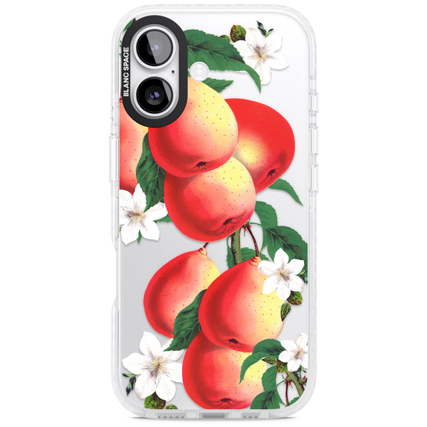 Vintage Painted Peaches