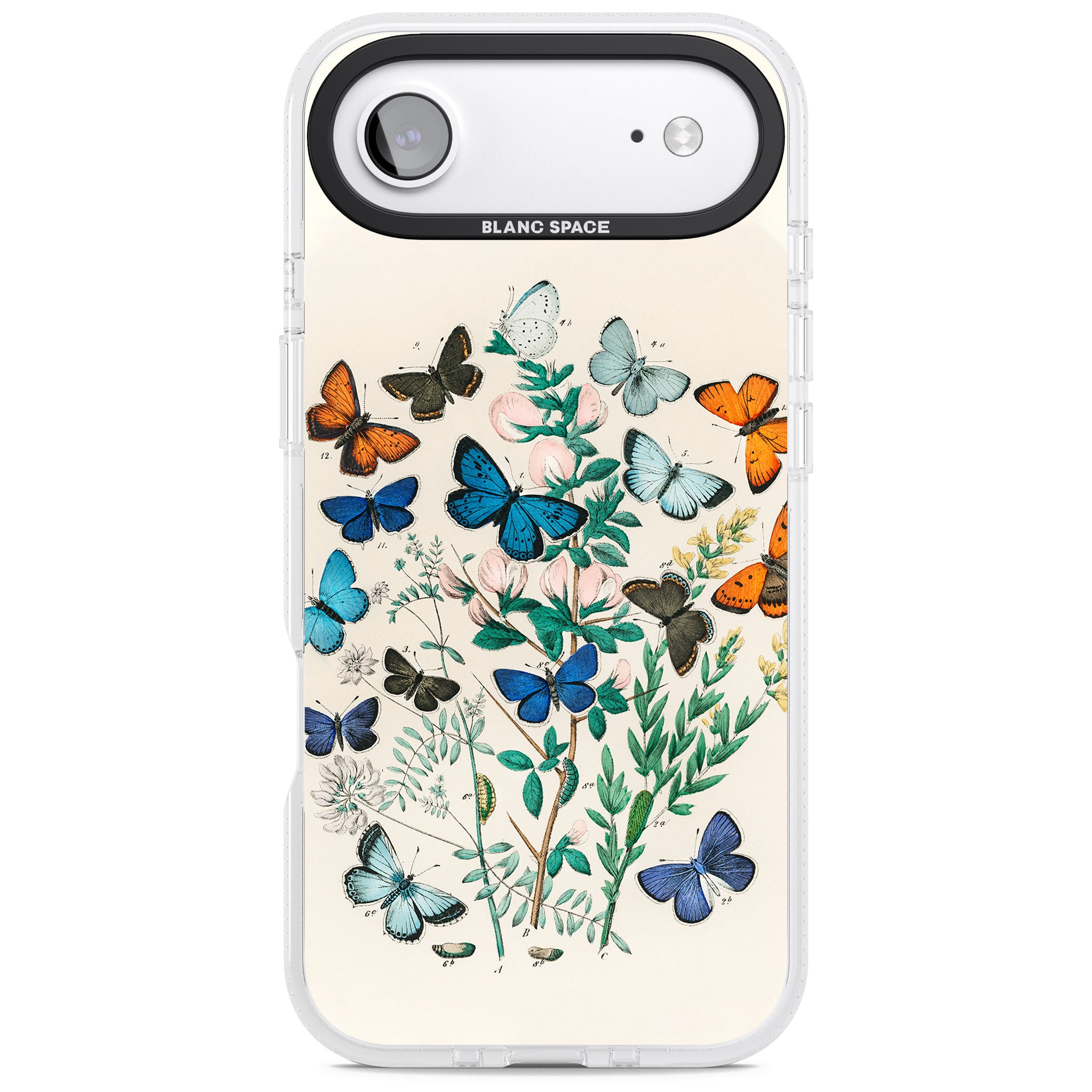 European Butterflies iPhone 17 Air Impact Air Clear Phone Case