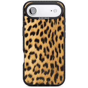Savannah Leopard