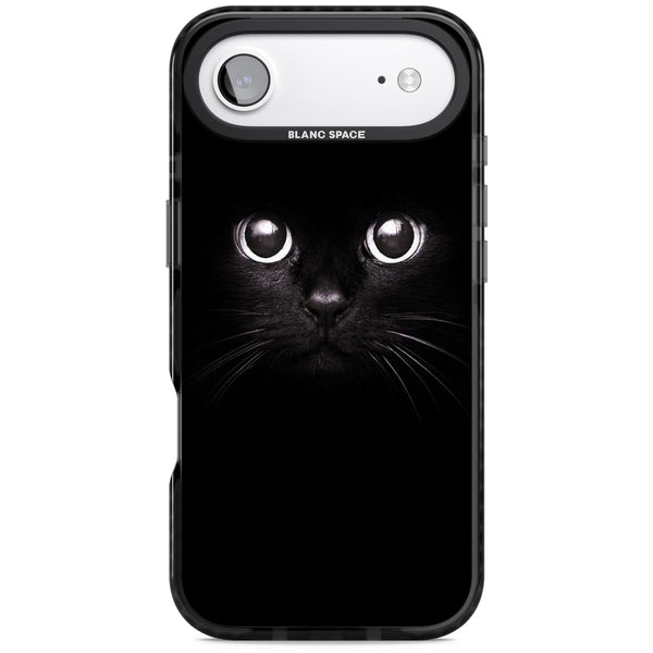 Black Cat