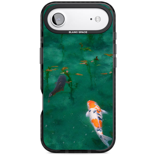 Koi Fish