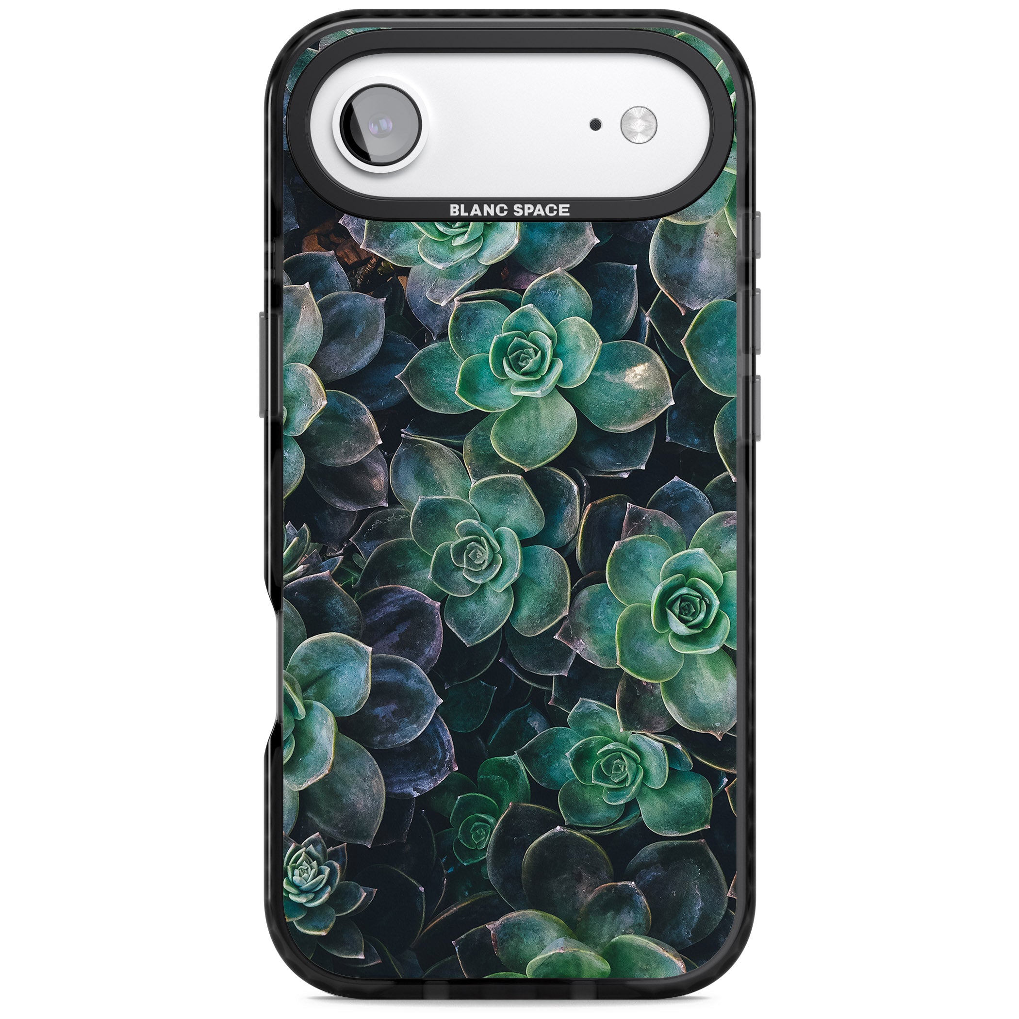 Succulent Bloom Botanical iPhone 17 Air Impact Pro Black Phone Case