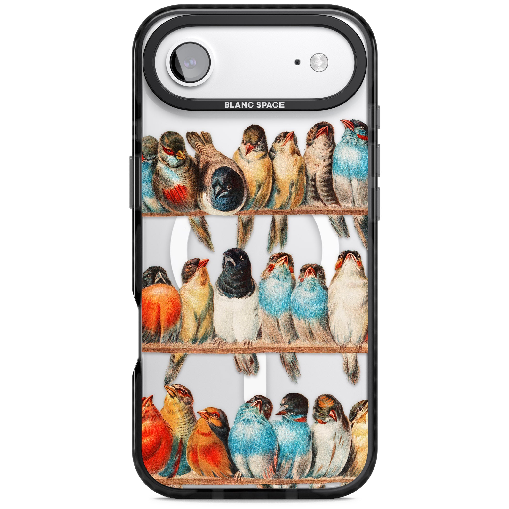 A Perch Of Birds iPhone 17 Air Impact Pro Black Phone Case