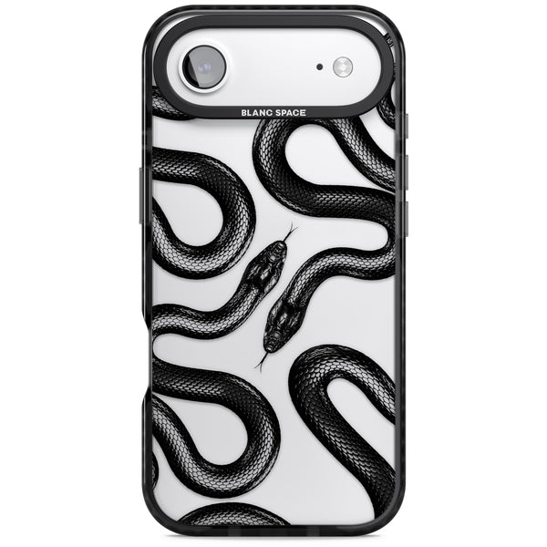 Black Kingsnake
