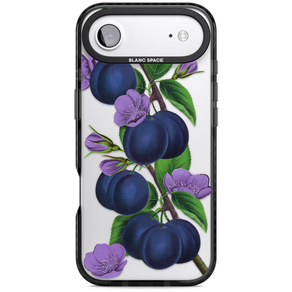 Vintage Painted Plums