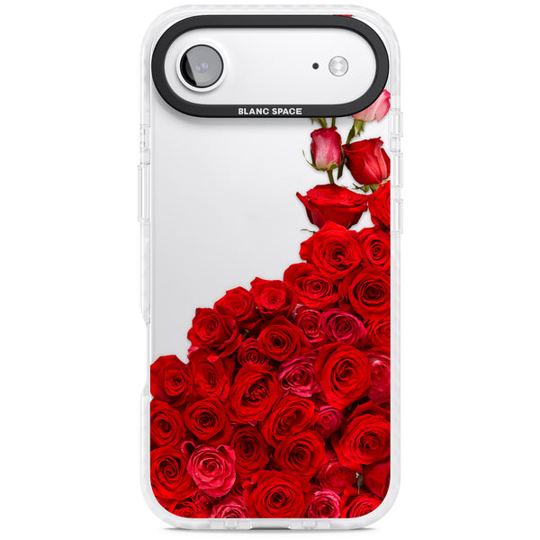 Rose Avalanche