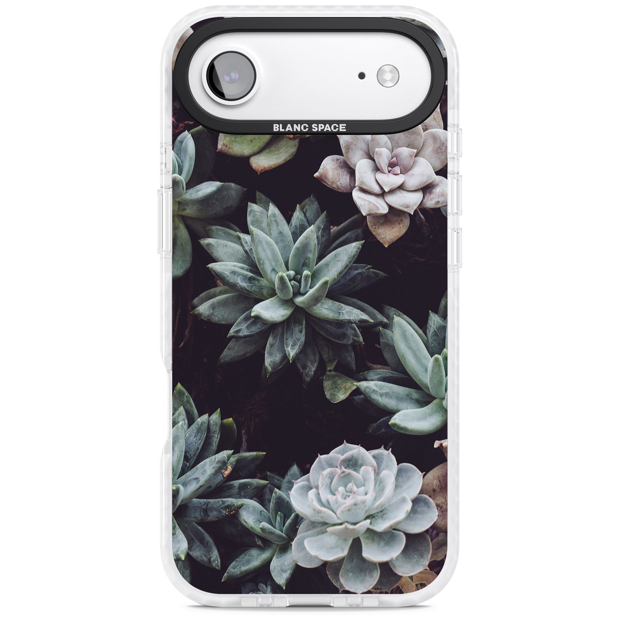 Succulent Bloom Mixed iPhone 17 Air Impact Clear Phone Case
