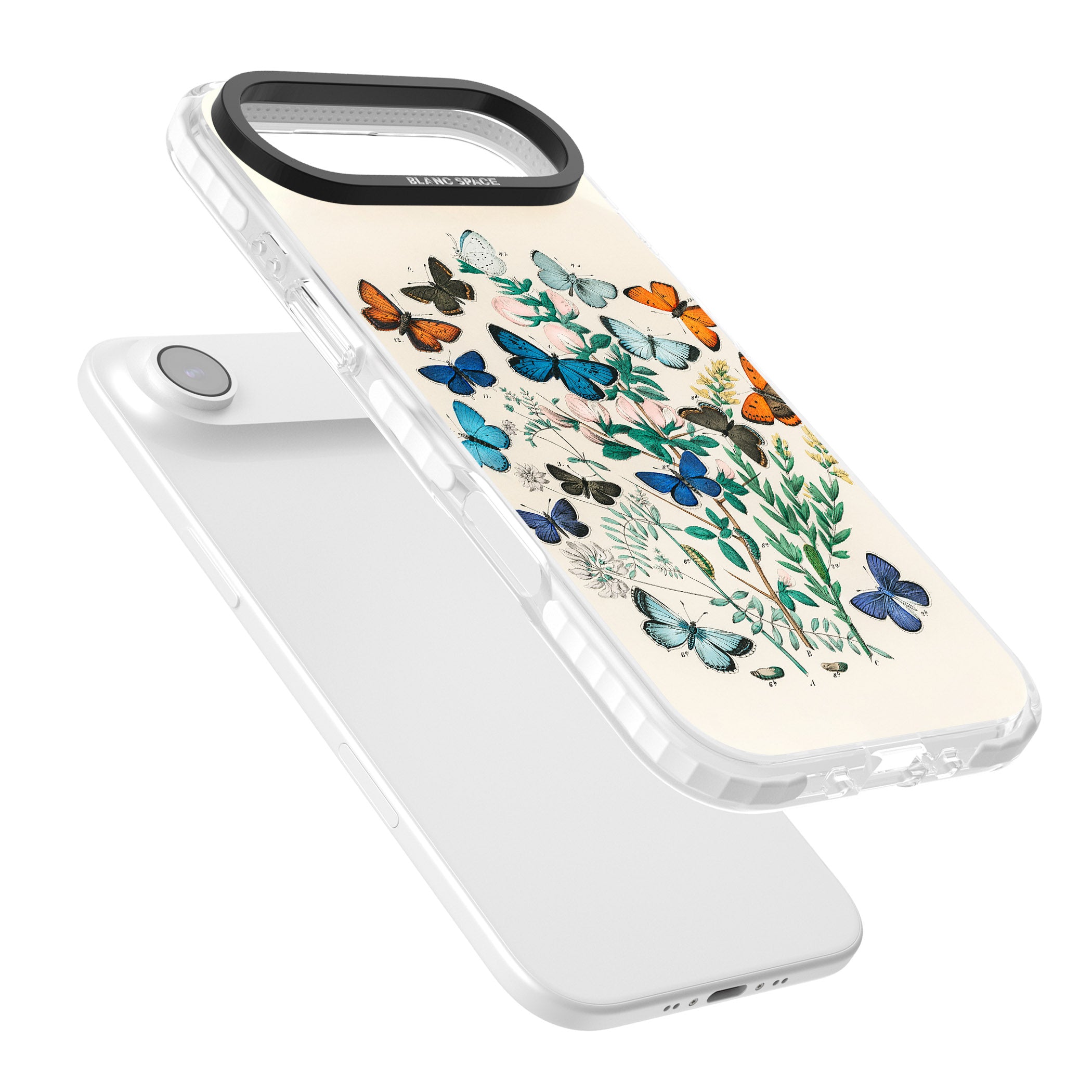 European Butterflies iPhone 17 Air Impact Clear Phone Case Colours